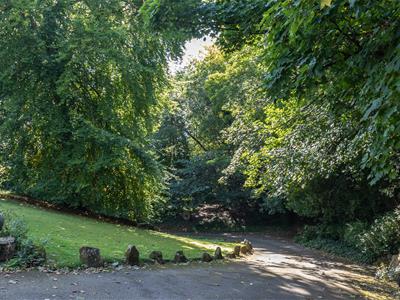 Picture 19